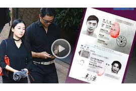 铁锋遇到恶意拖欠？专业追讨公司帮您解决烦恼